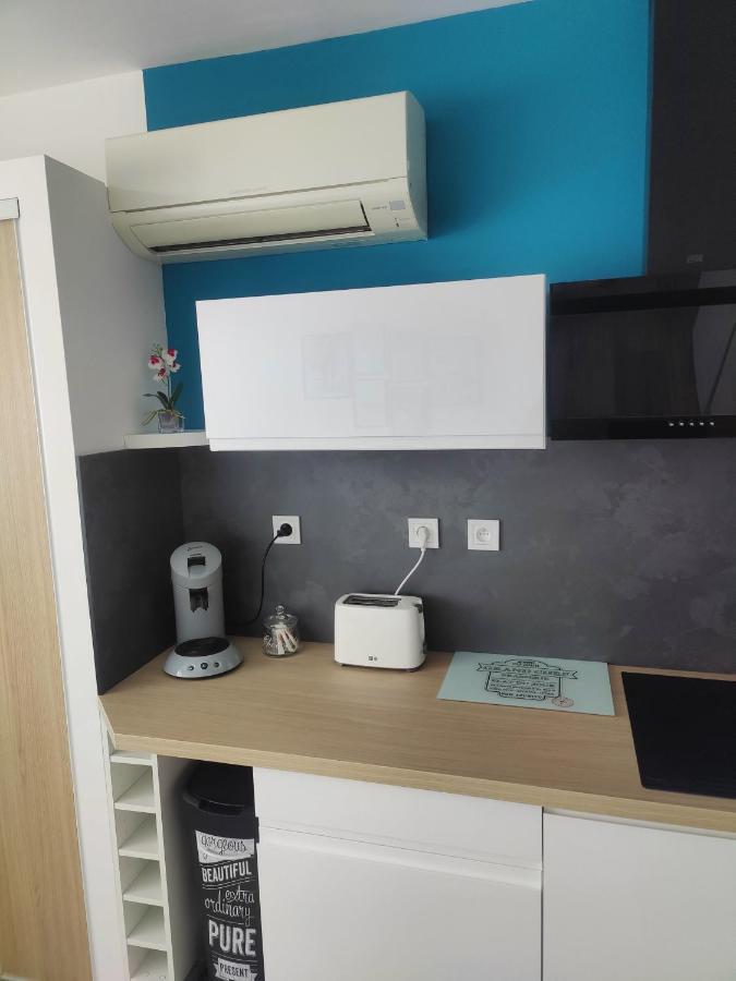 Studio Climatise 50 M.Du Port แซงต์-ซีเปรียง ภายนอก รูปภาพ